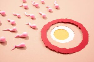 Egg Quality vs Age
